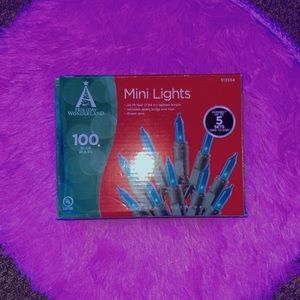 Blue Mini Lights